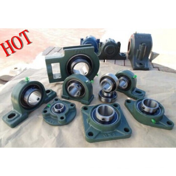 Pillow Block, Ucp Ucf Uc Pillow Block Bearing Type and Fkd Brand Name Pillow Block Bearing P207